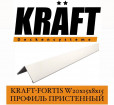 KRAFT Fortis W 2015815   3000 