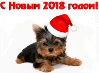 � ����� ����� 2018! | 