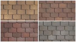 �������� �������� SHINGLAS ������