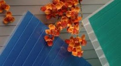 ������� ������������ POLYGAL 8 �� ��� Polyshade