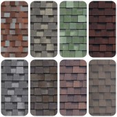 �������� �������� SHINGLAS ������